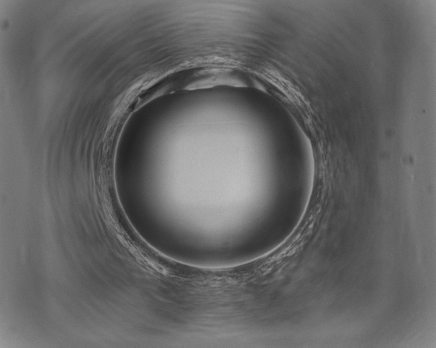 X0000072940193200607211110