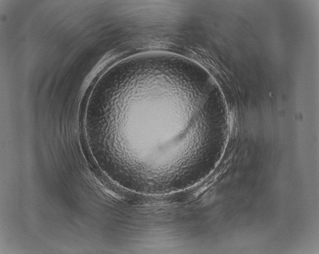 X0000072940195200607211110