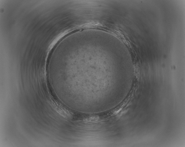 X0000072940196200607211110