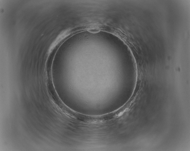 X0000072940198200607211110