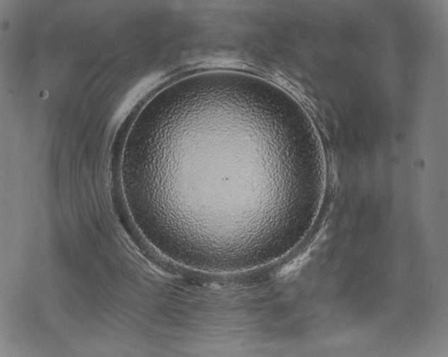 X0000072940199200607211110