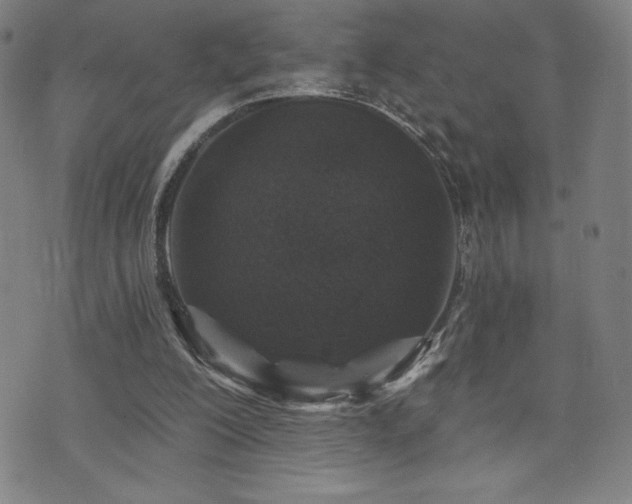 X0000072940200200607211110