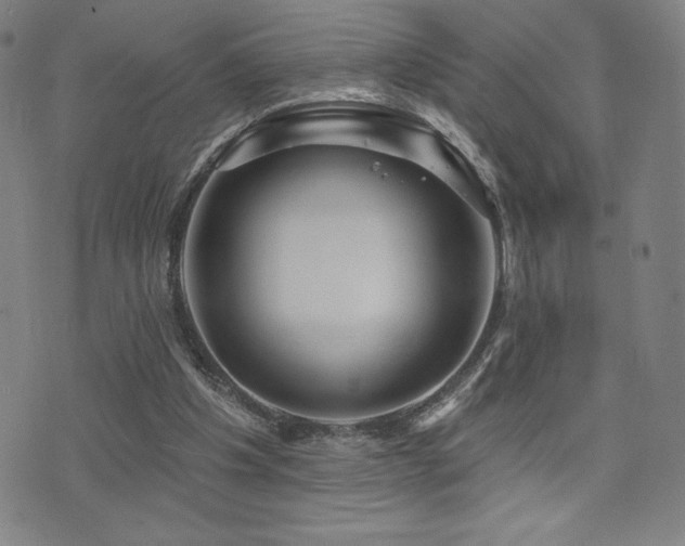 X0000072940201200607211110