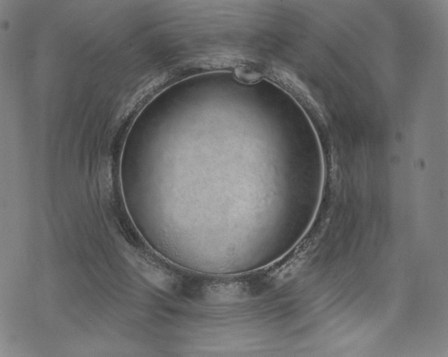 X0000072940202200607211110