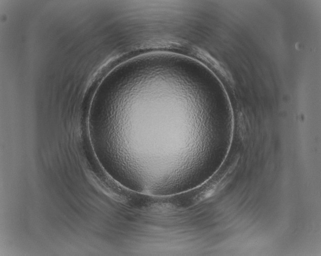 X0000072940203200607211110