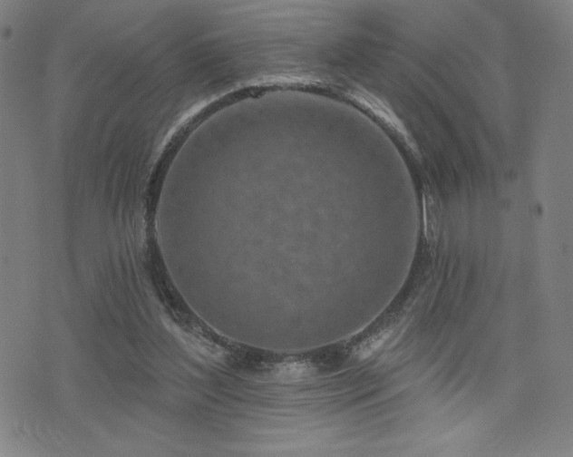 X0000072940204200607211110