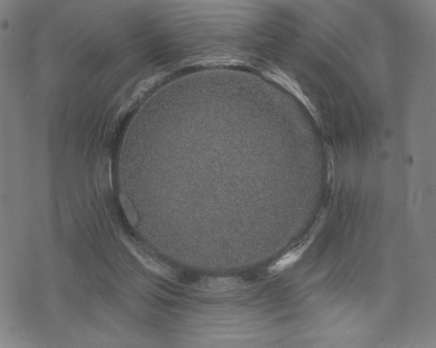 X0000072940205200607211110