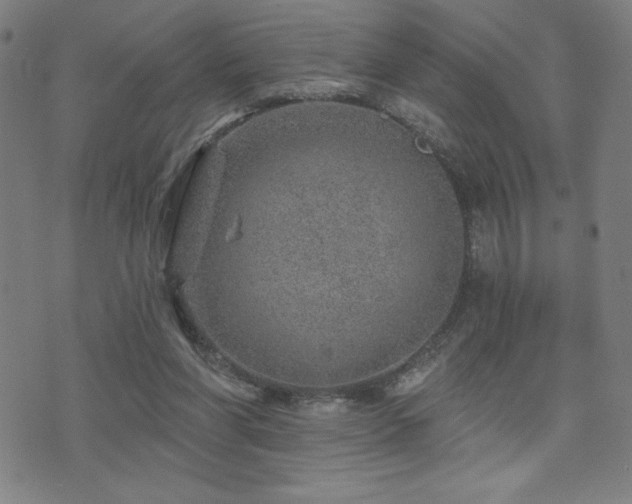 X0000072940206200607211110