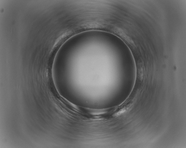 X0000072940207200607211110