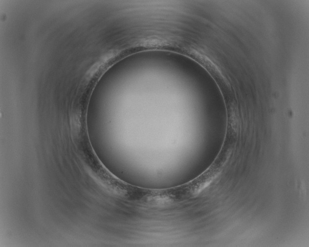 X0000072940208200607211110