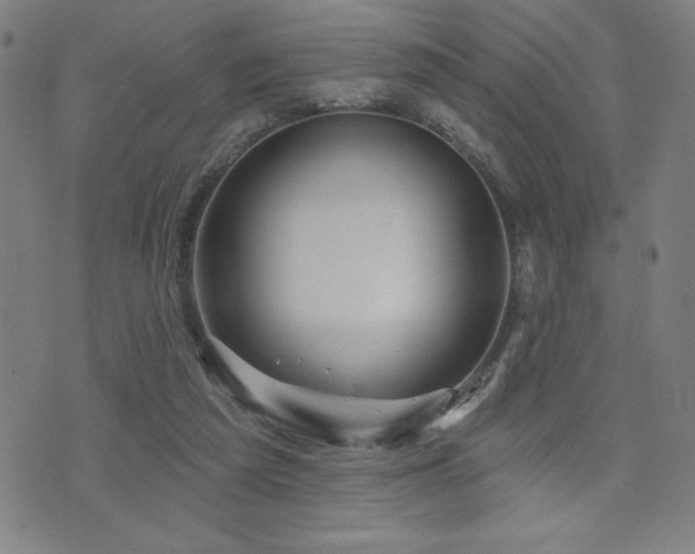 X0000072940209200607211110