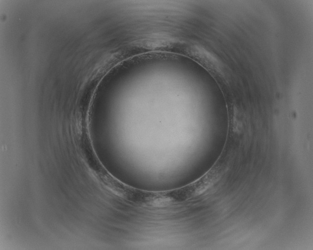 X0000072940210200607211110