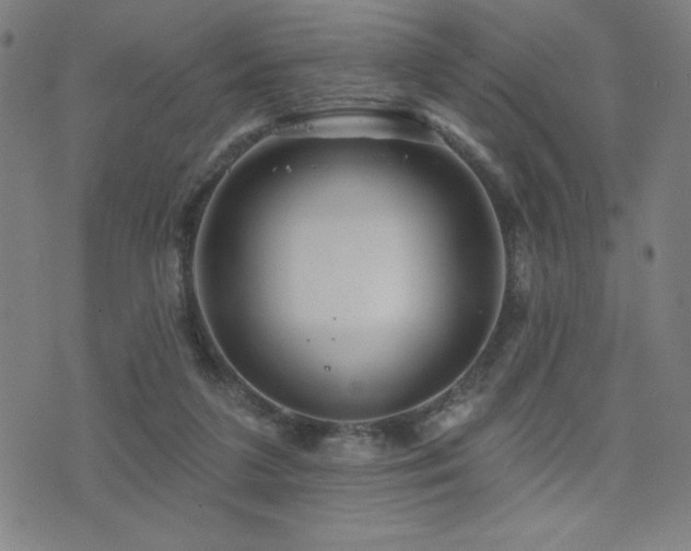 X0000072940211200607211110