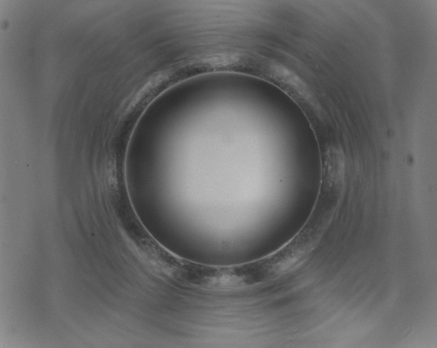 X0000072940212200607211110