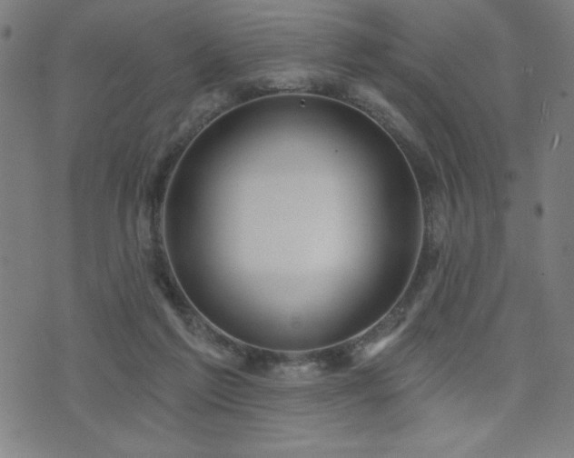 X0000072940213200607211110