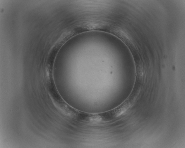 X0000072940214200607211110