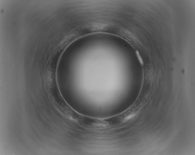 X0000072940215200607211110