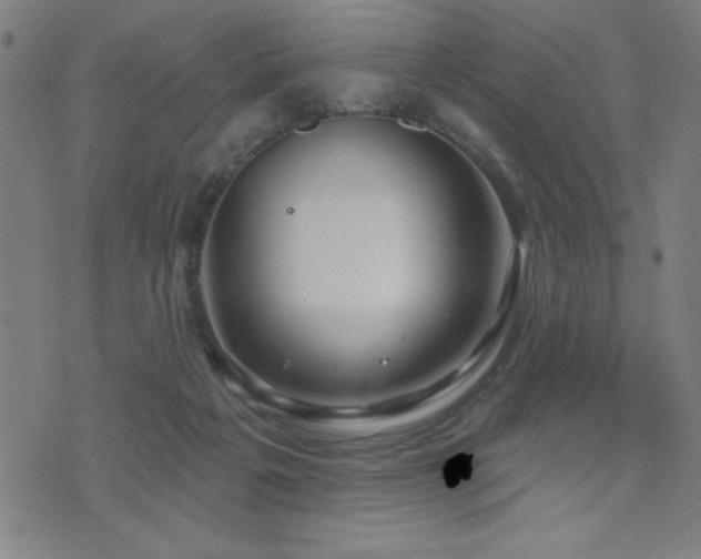 X0000072940217200607211110