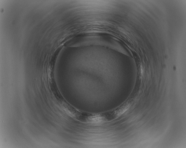 X0000072940219200607211110