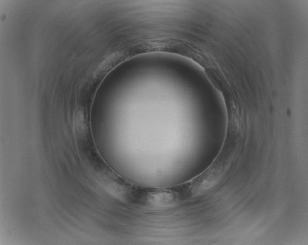 X0000072940220200607211110