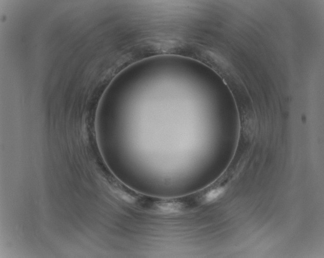 X0000072940221200607211110