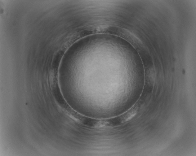 X0000072940222200607211110