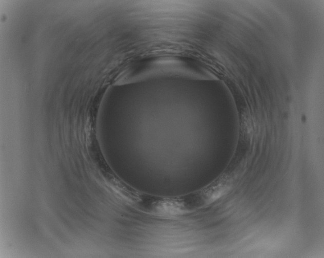 X0000072940223200607211110