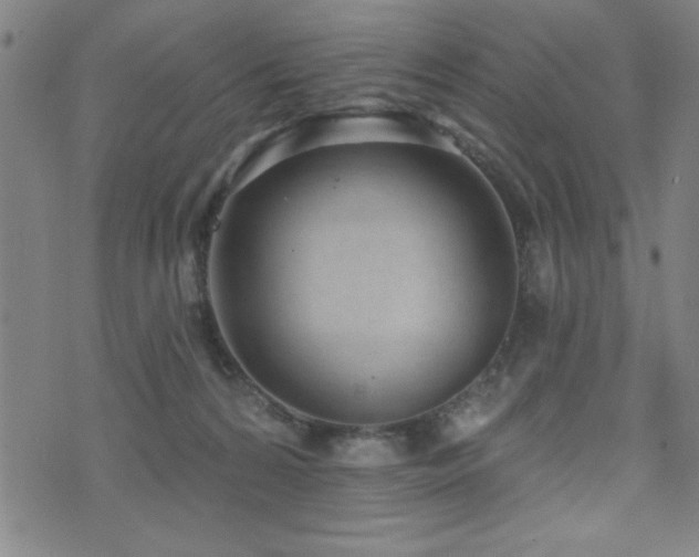 X0000072940224200607211110