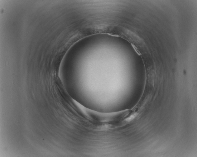 X0000072940225200607211110