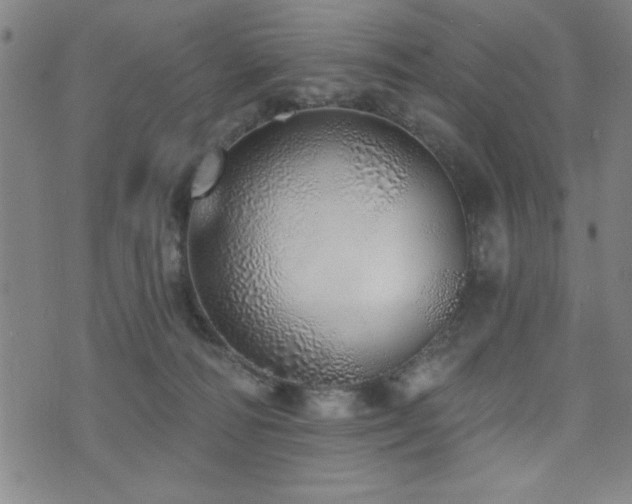 X0000072940226200607211110