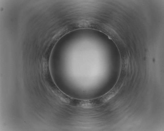 X0000072940228200607211110