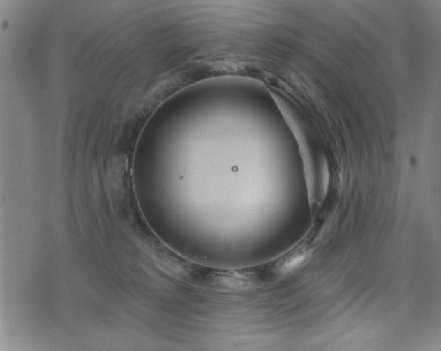 X0000072940229200607211110