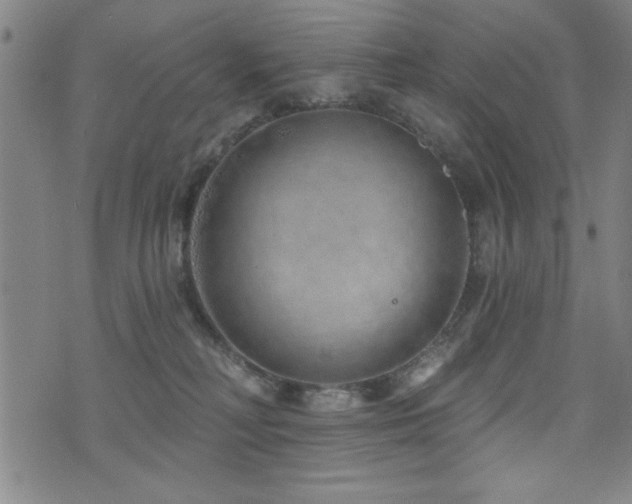 X0000072940230200607211110