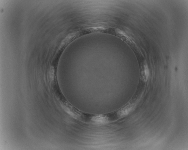 X0000072940231200607211109