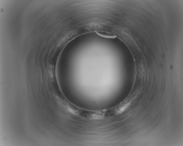 X0000072940232200607211109