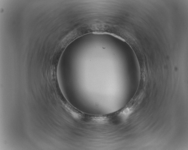 X0000072940233200607211109