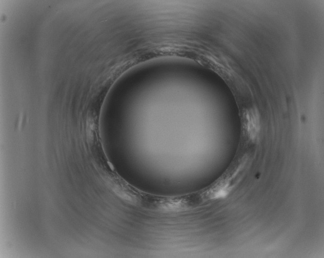 X0000072940235200607211109