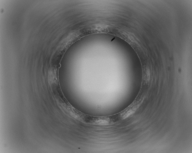 X0000072940236200607211109