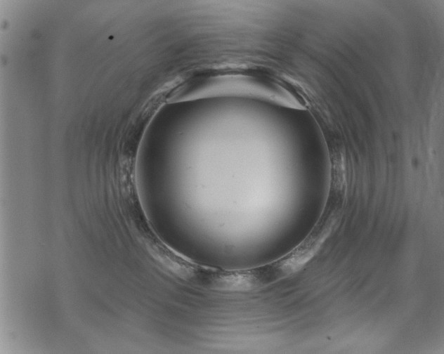 X0000072940237200607211109