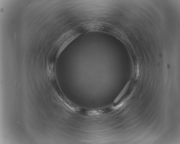 X0000072940239200607211109