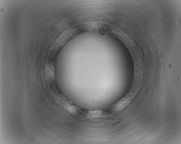 X0000072940240200607211109