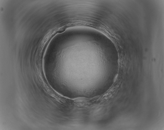 X0000072940241200607211109