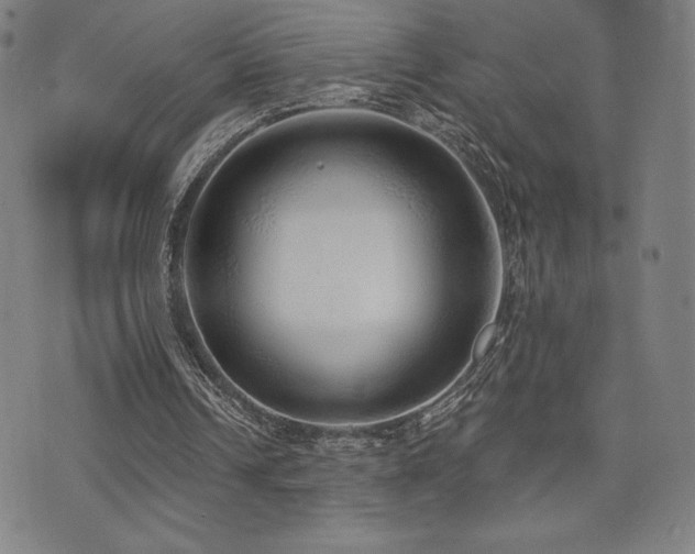 X0000072940242200607211109