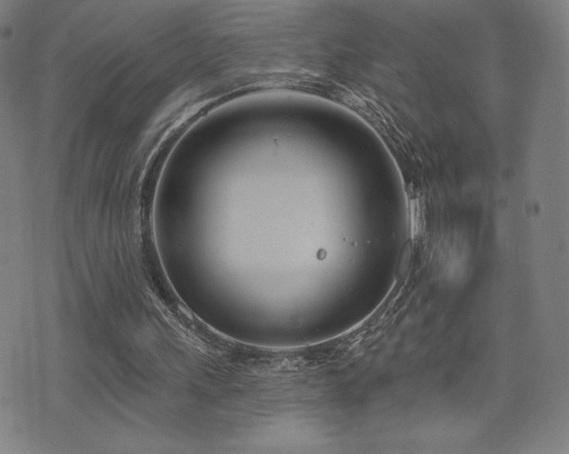 X0000072940243200607211109