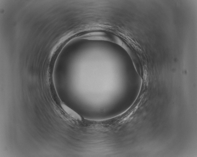 X0000072940244200607211109