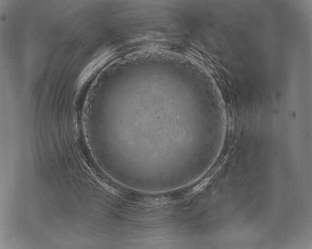 X0000072940245200607211109