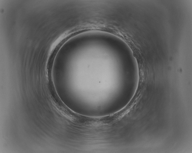 X0000072940246200607211109