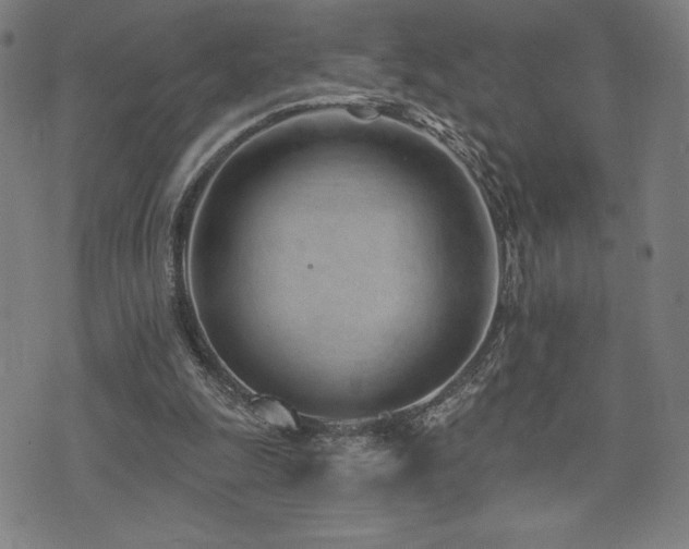 X0000072940247200607211109