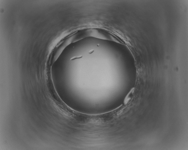 X0000072940248200607211109