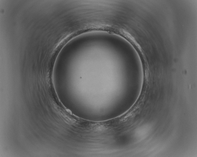 X0000072940249200607211109